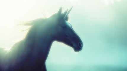 white horse in the wind