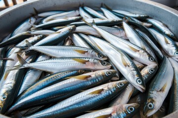 Close-up of Freshly Caught Shiny Silver Fish in a Metal Basin, High Angle View, Natural Light, Market Scene