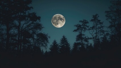 Fototapeta premium silhouetted trees against a crescent moon