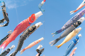 carp streamer