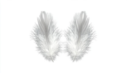 Obraz premium Two White Speckled Feathers Isolated on Transparent Background