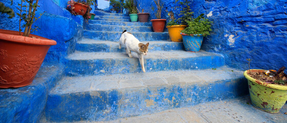 Chefchaouene in Morocco