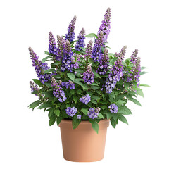 A Vibrant Potted Butterfly Bush Plant with Purple Flowers Isolated on Transparent Background