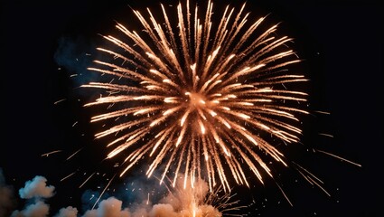 burst of firecracker display against a dark backdrop