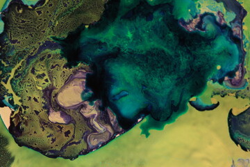 Liquid art with Ink, Paint, Mica Powder, Milk and Oils 3D