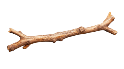 Natural Wooden Stick Branch on Transparent Background for Graphics