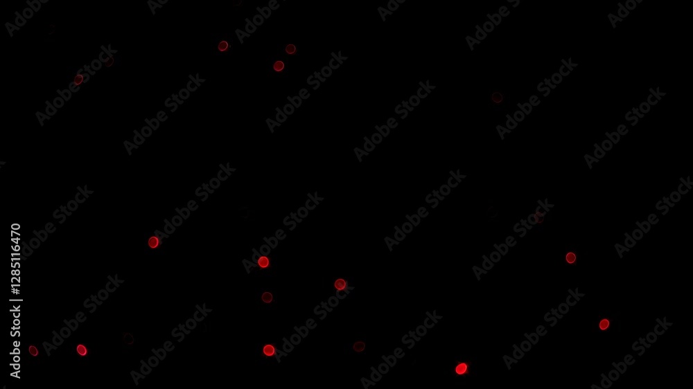 Poster abstract video concept with red bokeh lights scattered across a black background. shot from a straig