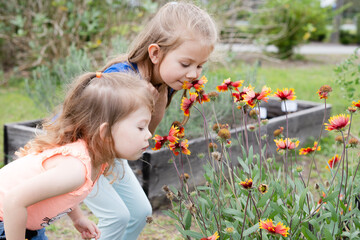 Cute Caucasian little kids smell the flowers in the butterfly garden. Children and nature concept. Kids and gardening. Kids' summer activities and fun concept