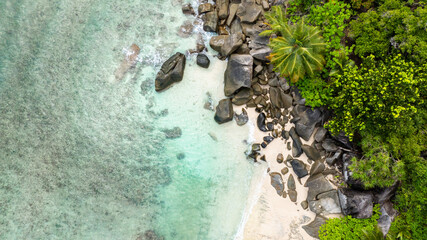 Thick green foliage with palm trees extending to a white sandy beach with gentle waves. Butzel Beach. Seychelles, Mahe.