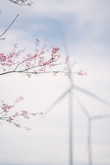 wind turbines standing on a green hill under a cloudy sky. In the foreground, blurred branches with pink blossoms add depth, creating a contrast between nature and renewable energy technology.