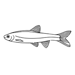 vector illustration of a fish