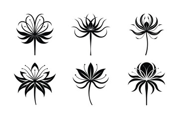 Spider Lily (Lycoris spp.) silhouette vector illustration