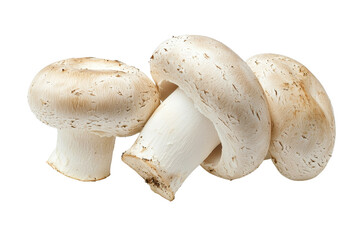 Fresh White Mushrooms on a White Background for Culinary Use and Recipes