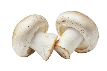 Fresh White Mushrooms Isolated on a Clean White Background for Culinary Use