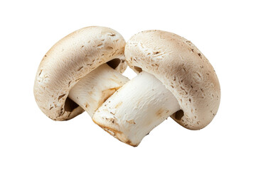 Fresh White Mushrooms Close-Up on Isolated Background for Culinary Use