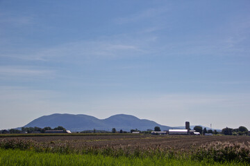 Serene rural landscape featuring an open farm field with a backdrop of rolling mountains under a clear blue sky