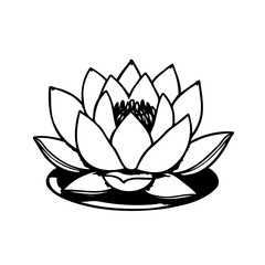 Elegant Lotus Flower Contour Line Drawing Art