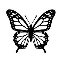 Striking Silhouette of an Intricate Butterfly