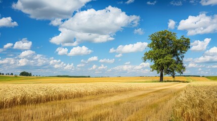 Golden Wheat Field Lone Tree Under Blue Sky with Clouds
