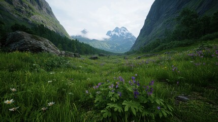 Fototapeta premium Serene valley landscape with vibrant wildflowers, towering mountains, and misty clouds in background