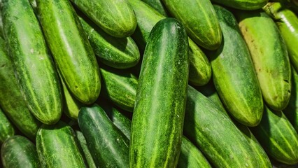 Fresh Cucumbers Displayed in Abundance, Emphasizing Natural Texture and Vibrant Green Color