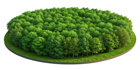 Aerial View of Mangrove Forest Island | Premium Nature Image