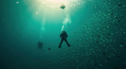 Divers Exploring Underwater with School of Fish and Sun Rays