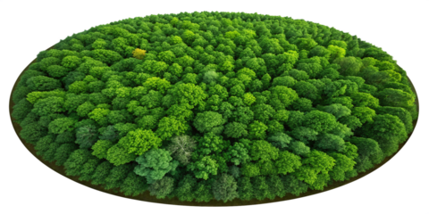 Aerial View of Mangrove Forest Island | Premium Nature Image