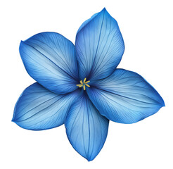 Blue tropical flower isolated on transparent background