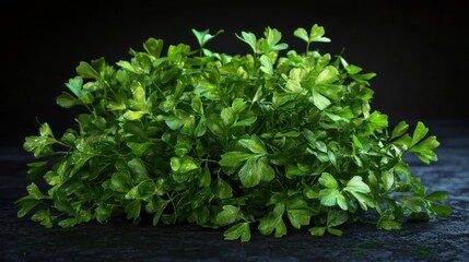 Obraz premium Fresh green parsley arranged neatly on a dark surface, highlighting its vibrant color and texture