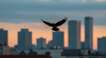 Crow Flying Over City at Dusk with Buildings in Background
