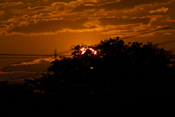 Sunset in the countryside of Sri Lanka, with silhouettes of trees and wires