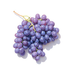 Fototapeta premium Purple Grape Paradise: An eye-level, top-down capture of a bunch of ripe, juicy purple grapes with stem and leaves, casting shadows, evokes freshness and sweetness.