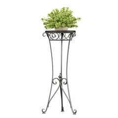 3d illustration of plants in Classic Black Metal Tall Plant Stand isolated on transparent canvas