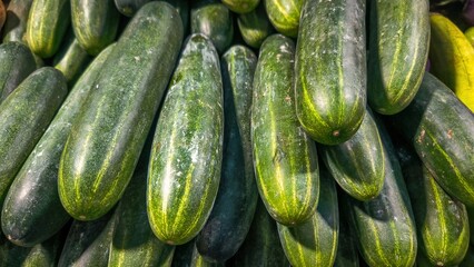 Abundance of fresh cucumbers, showcasing vibrant green hues and textures