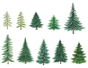 trees collection flat illustration side view clean white background