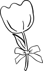Coquette Tulip Flower with Bow Outline