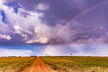 rainbow over fields