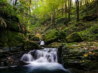 Obraz premium waterfall in the forest