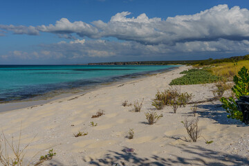 Dominican Republic. Bahia de Las Aguilas Bay. Virgin beach. Wild nature.