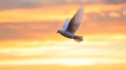 Fototapeta premium Majestic White Dove in Flight Against a Vibrant Sunset Sky : Generative AI
