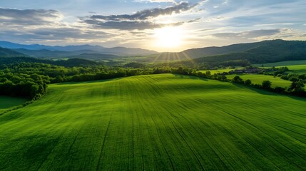 Obraz premium Stunning Sunrise Over Green Rolling Hills in a Rural Landscape : Generative AI