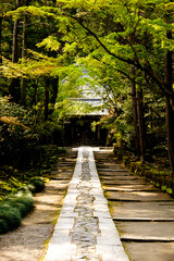 Obraz premium 参道