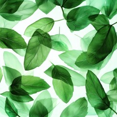 Fototapeta premium Fresh Basil Leaves, Abstract Pattern