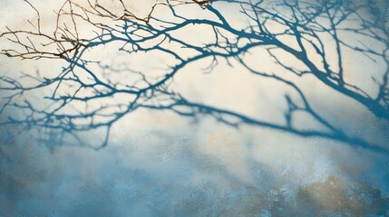 Shadows of Tree Branches Create Intricate Patterns on the Surface During Sunset, Showcasing Nature's Beauty and Artistry