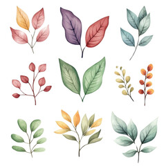 A collection of watercolor illustrations featuring various leaves in different colors and shapes, perfect for nature-inspired designs.