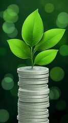 Silver coins stacked high with a vibrant green sprout emerging from the top, set against a blurred green background. The image symbolizes growth and