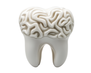 Isolated Molar Tooth with Brain Texture Concept