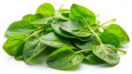 Fototapeta premium Lemon sorrel leaves curl on a white background,Light catches their vibrant green veins. Blurred herb garden. 