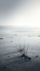 Fototapeta premium Desolate Landscape